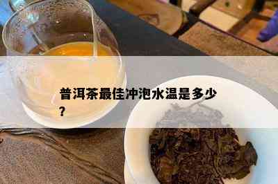 普洱茶更佳冲泡水温是多少？