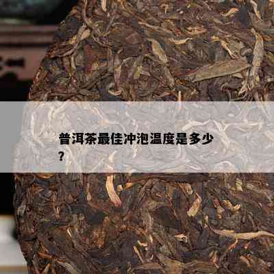 普洱茶更佳冲泡温度是多少？