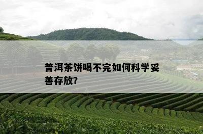 普洱茶饼喝不完怎样科学妥善存放？