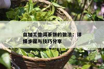 自加工普洱茶饼的做法：详细步骤与技巧分享