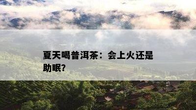 夏天喝普洱茶：会上火还是助眠？