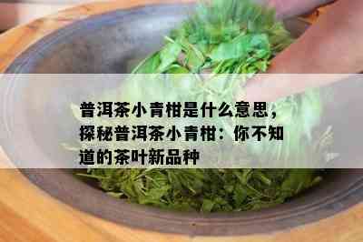 普洱茶小青柑是什么意思，探秘普洱茶小青柑：你不知道的茶叶新品种