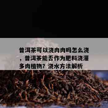 普洱茶可以浇肉肉吗怎么浇，普洱茶能否作为肥料浇灌多肉植物？浇水方法解析