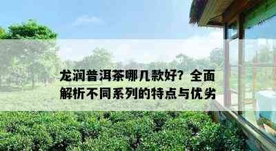 龙润普洱茶哪几款好？全面解析不同系列的特点与优劣