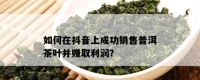 怎样在抖音上成功销售普洱茶叶并赚取利润？