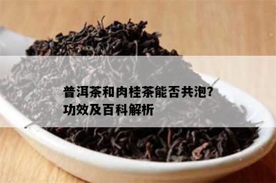 普洱茶和肉桂茶能否共泡？功效及百科解析