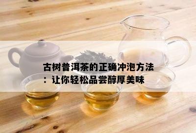 古树普洱茶的正确冲泡方法：让你轻松品尝醇厚美味