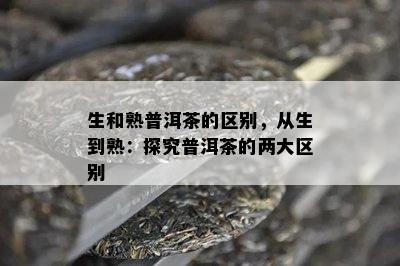 生和熟普洱茶的区别，从生到熟：探究普洱茶的两大区别