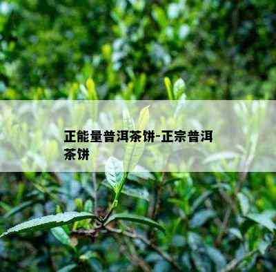 正能量普洱茶饼-正宗普洱茶饼