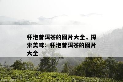 杯泡普洱茶的图片大全，探索美味：杯泡普洱茶的图片大全