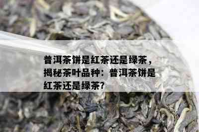 普洱茶饼是红茶还是绿茶，揭秘茶叶品种：普洱茶饼是红茶还是绿茶？