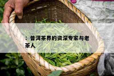 ：普洱茶界的资深专家与老茶人