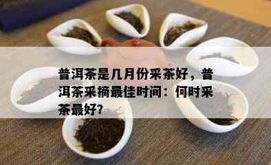 普洱茶是几月份采茶好，普洱茶采摘更佳时间：何时采茶更好？