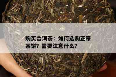 购买普洱茶：如何选购正宗茶饼？需要注意什么？