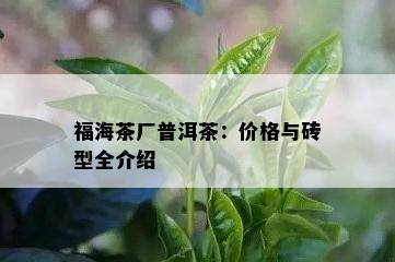 福海茶厂普洱茶：价格与砖型全介绍