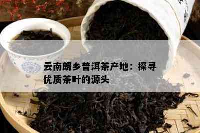 云南朗乡普洱茶产地：探寻优质茶叶的源头