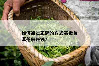 怎样通过正确的方法买卖普洱茶来赚钱？