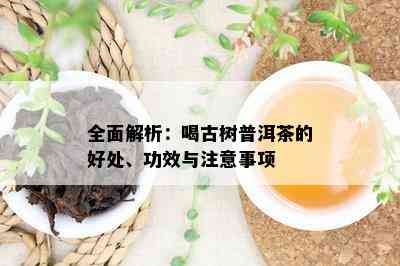 全面解析：喝古树普洱茶的好处、功效与注意事项