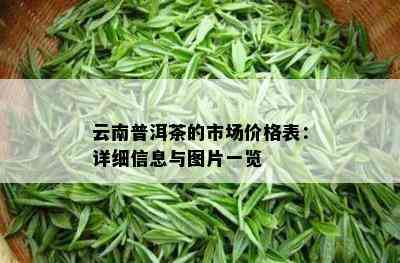 云南普洱茶的市场价格表：详细信息与图片一览