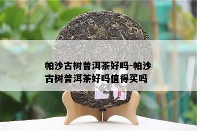 帕沙古树普洱茶好吗-帕沙古树普洱茶好吗值得买吗