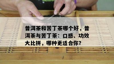 普洱茶和苦丁茶哪个好，普洱茶与苦丁茶：口感、功效大比拼，哪种更适合你？