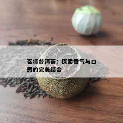 茗将普洱茶：探索香气与口感的完美结合