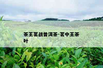 茶王茗战普洱茶-茗中王茶叶