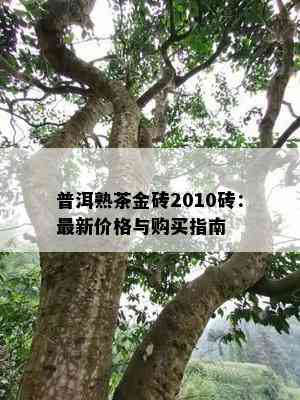 普洱熟茶金砖2010砖：最新价格与购买指南