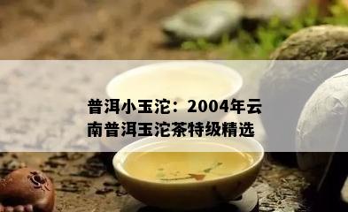 普洱小玉沱：2004年云南普洱玉沱茶特级精选