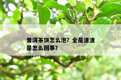 普洱茶饼怎么泡？全是渣渣是怎么回事？