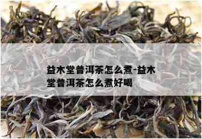 益木堂普洱茶怎么煮-益木堂普洱茶怎么煮好喝