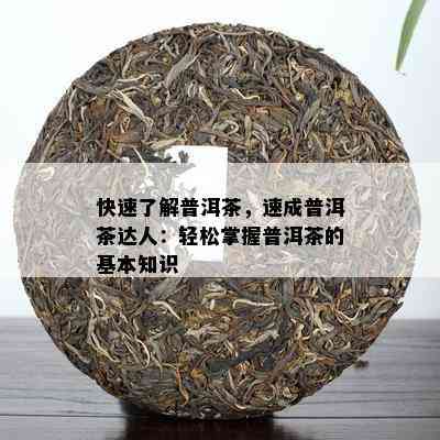 快速了解普洱茶，速成普洱茶达人：轻松掌握普洱茶的基本知识