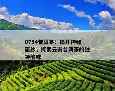 0754普洱茶：揭开神秘面纱，探索云南普洱茶的独特韵味