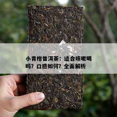 小青柑普洱茶：适合咳嗽喝吗？口感怎样？全面解析