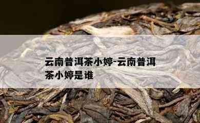 云南普洱茶小婷-云南普洱茶小婷是谁