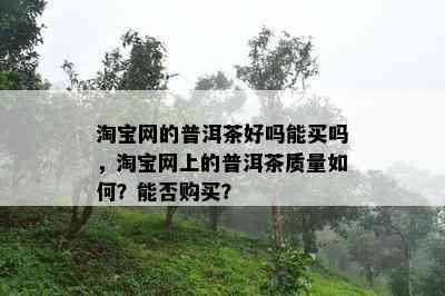 淘宝网的普洱茶好吗能买吗，淘宝网上的普洱茶品质怎样？能否购买？