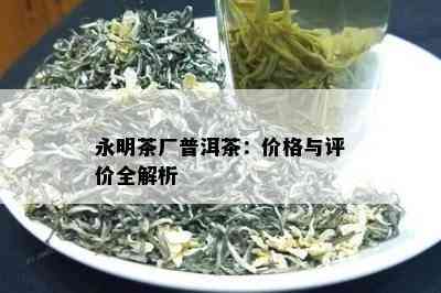 永明茶厂普洱茶：价格与评价全解析