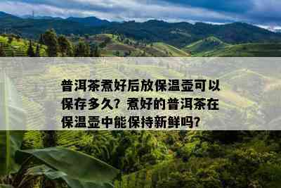 普洱茶煮好后放保温壶可以保存多久？煮好的普洱茶在保温壶中能保持新鲜吗？