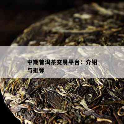 中期普洱茶交易平台：介绍与推荐