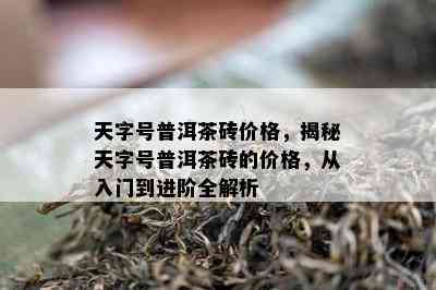 天字号普洱茶砖价格，揭秘天字号普洱茶砖的价格，从入门到进阶全解析