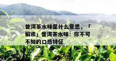 普洱茶水味是什么意思，「解读」普洱茶水味：你不可不知的口感特征