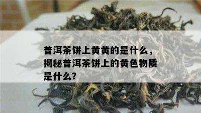 普洱茶饼上黄黄的是什么，揭秘普洱茶饼上的黄色物质是什么？