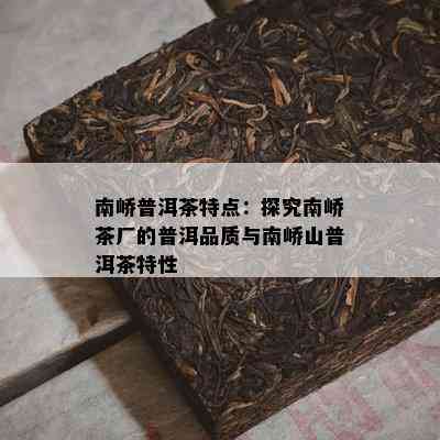 南峤普洱茶特点：探究南峤茶厂的普洱品质与南峤山普洱茶特性