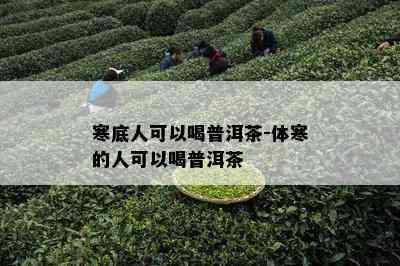 寒底人可以喝普洱茶-体寒的人可以喝普洱茶