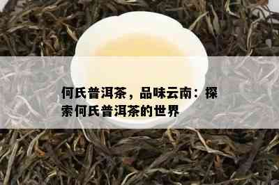 何氏普洱茶，品味云南：探索何氏普洱茶的世界