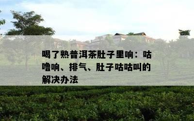 喝了熟普洱茶肚子里响：咕噜响、排气、肚子咕咕叫的解决办法