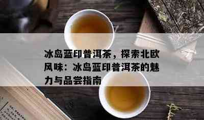 冰岛蓝印普洱茶，探索北欧风味：冰岛蓝印普洱茶的魅力与品尝指南