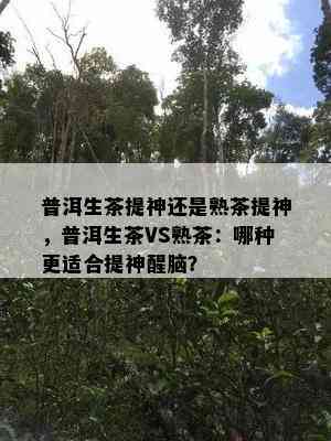 普洱生茶提神还是熟茶提神，普洱生茶VS熟茶：哪种更适合提神醒脑？