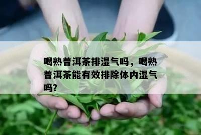 喝熟普洱茶排湿气吗，喝熟普洱茶能有效排除体内湿气吗？