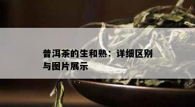 普洱茶的生和熟：详细区别与图片展示